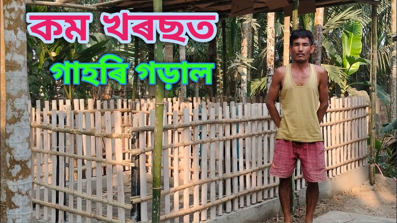 কম খৰছত মজবুত গাহৰিৰ গড়াল কেনেকৈ বনাব | Low cost pig shed | Pig Farming Assam