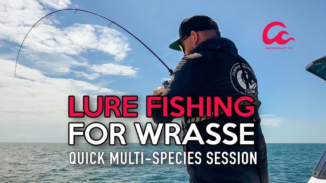Wrasse, mackerel and Pollack on Lures!! Lure Fishing in the sea UK- Quick Multi Species Session!