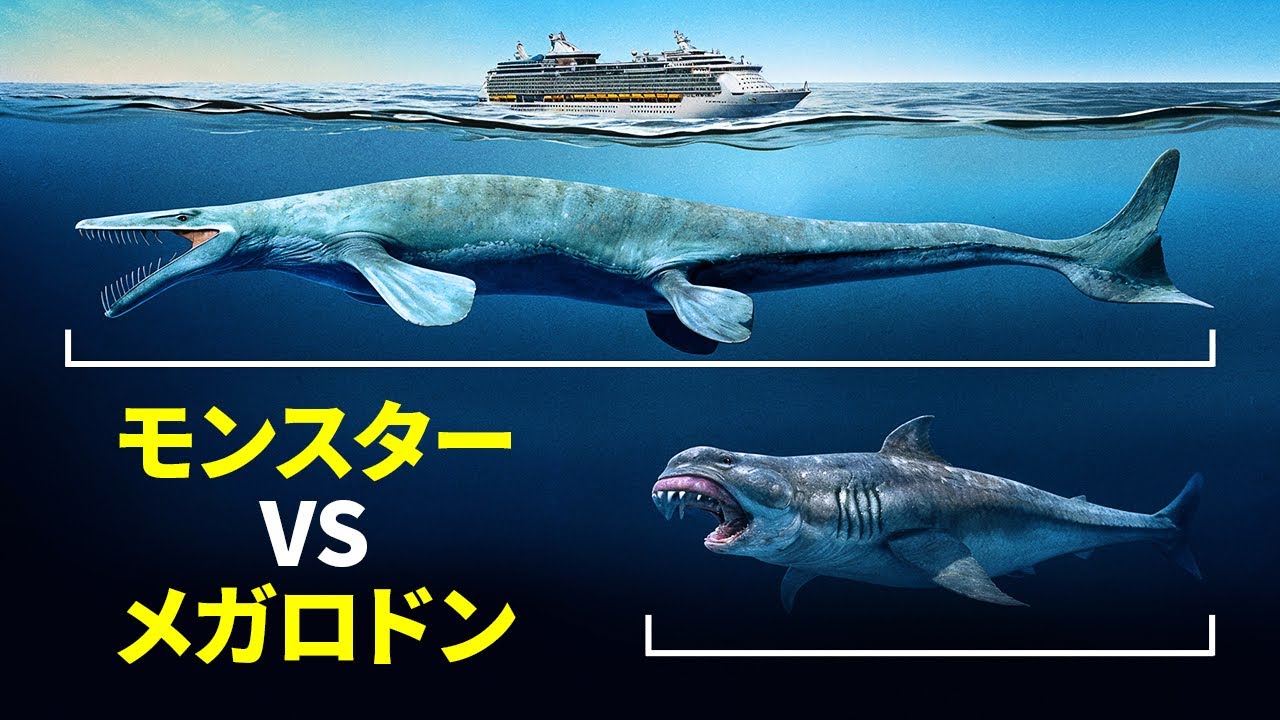 見たこともないような世界最大の海棲爬虫類