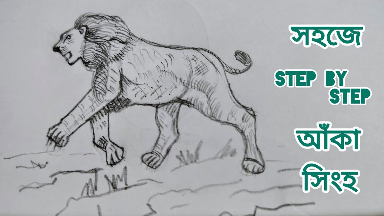 How to draw a LION Step by step| সহজে পেন্সিল দিয়ে সিংহ আঁকা | চারুকলা |art in lines
