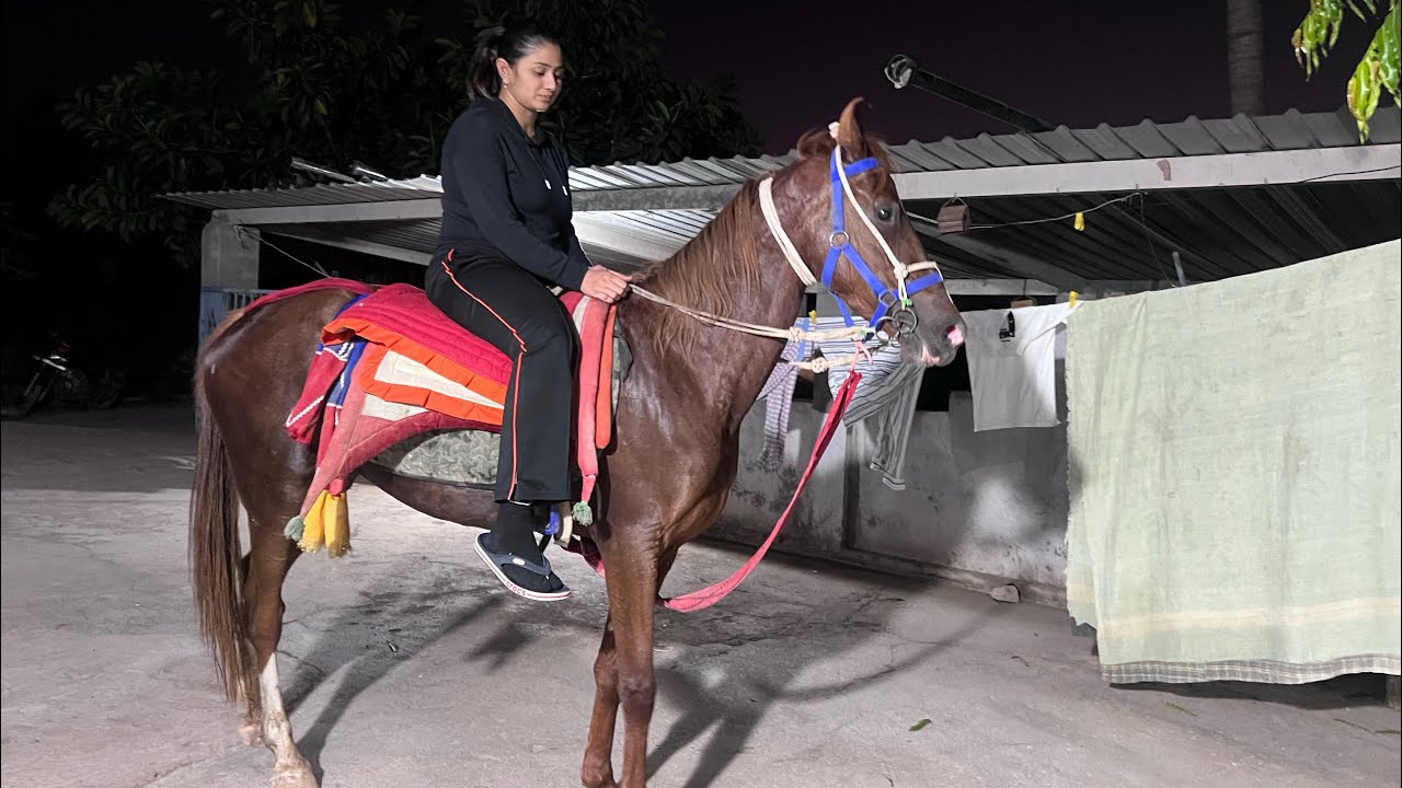 Delivery ke baad horse riding toral ke saath kab hoga