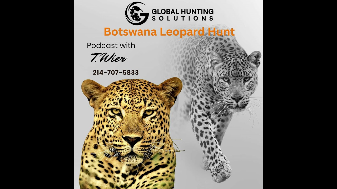 Hunting Leopard in Botswana with Travis Wier & Global Hunting Solutions