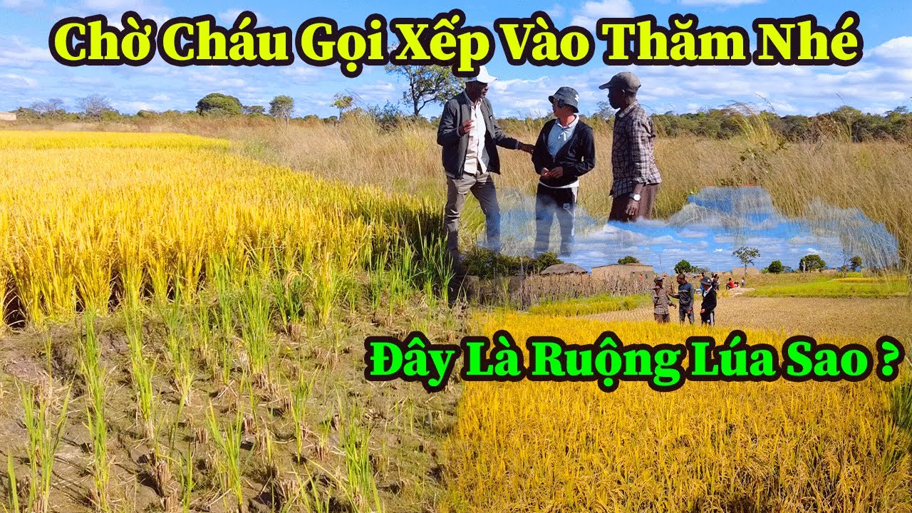 Quang Dũng ||Cán Bộ Huyện Ghé Thăm Bất Ngờ Cùng Quà Tặng ? Khi Anh Xe Ôm Cũng Muốn Trồng Lúa