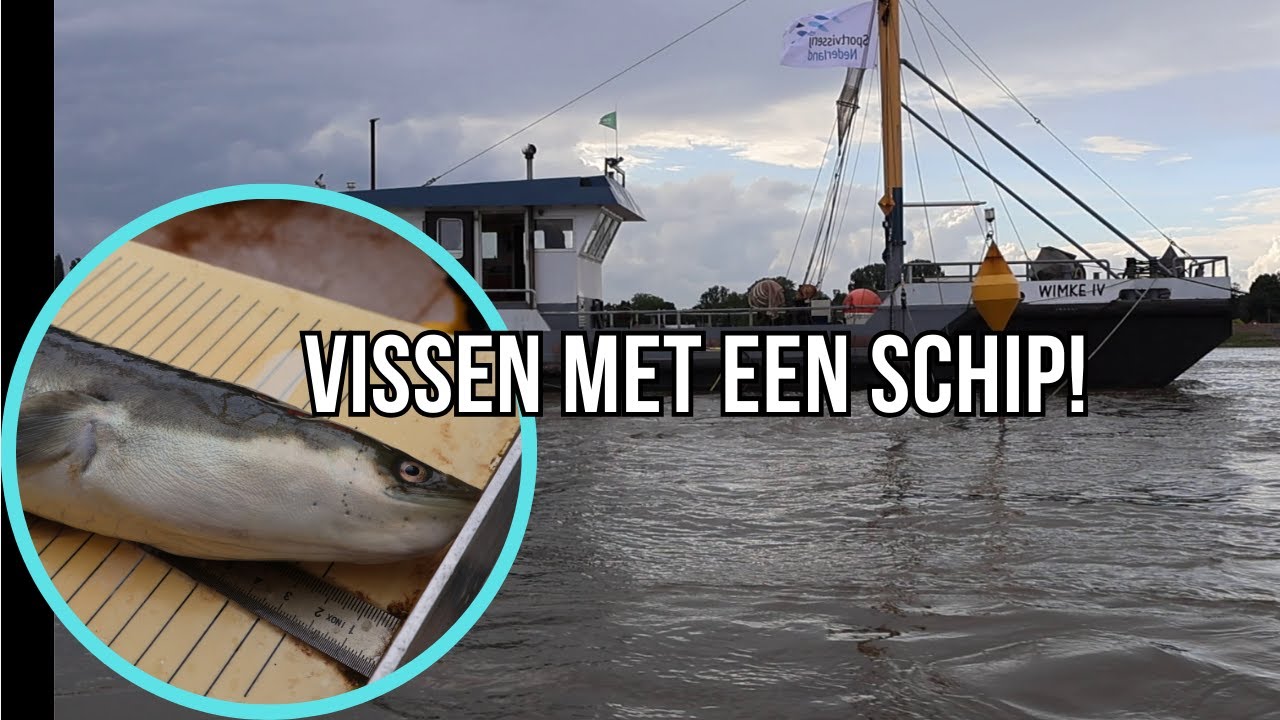 Wij Vangen Megaveel Paling, Karper en zelfs Forel met een Vissersboot?!