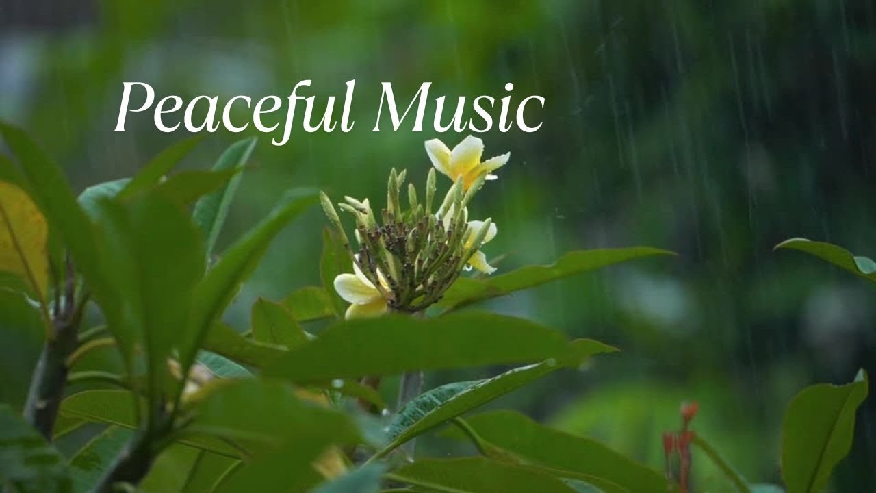Peaceful Music for Relaxation, Stop Overthinking 💖 Stress Relief Music😴 Instrumental Music
