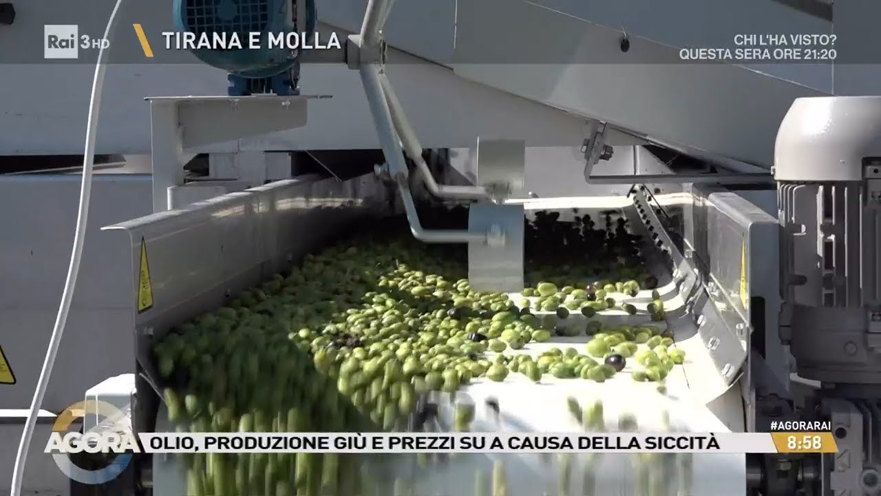 La sete delle olive - Agorà 16/10/2024