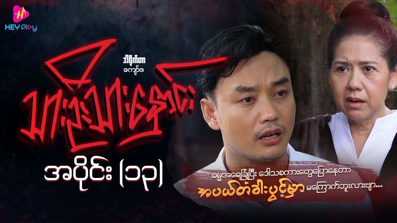 သားဦးသားနှောင်း - အပိုင်း ၁၃