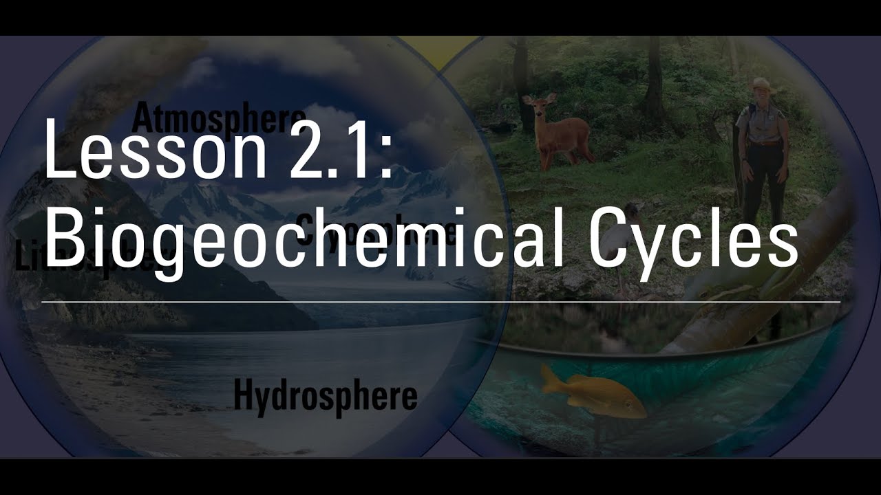 Lesson 2.1: Biogeochemical Cycling