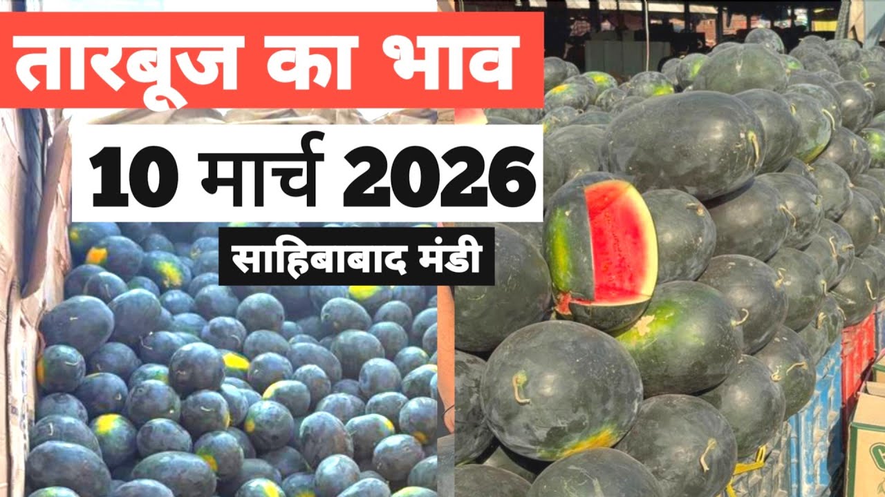 10 March 2026🍉तारबूज़ का भाव साहिबाबाद मंडी Today Watermelon Rate in Sahibabad Mand |Bharat ke Bazar