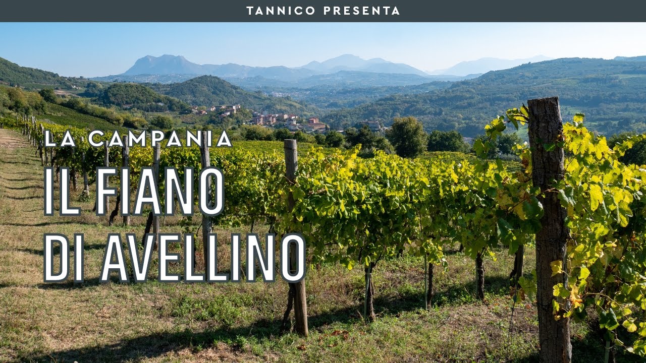 Il Fiano di Avellino e Pietracupa | Tannico