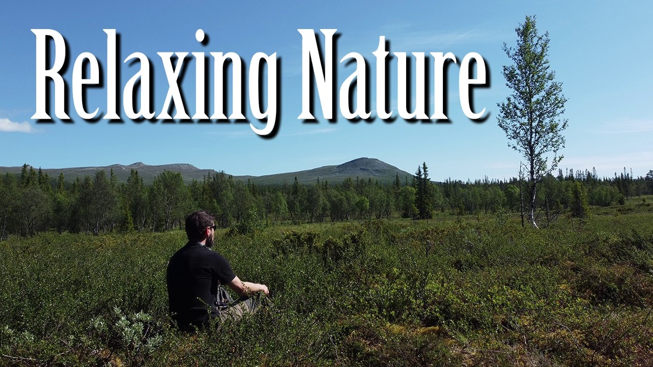 Relaxing Nature