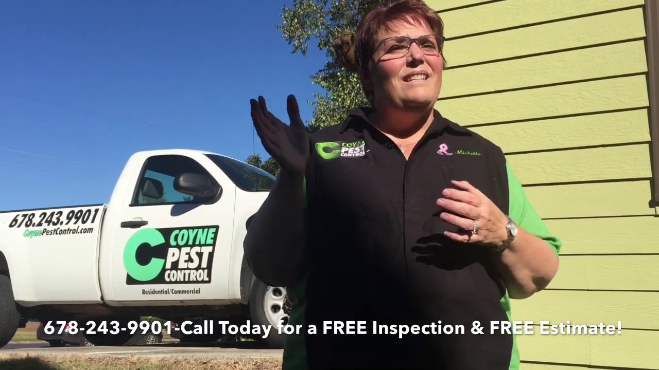 How to get rid of Box Elder Bugs-Coyne Pest Control, Woodstock, GA