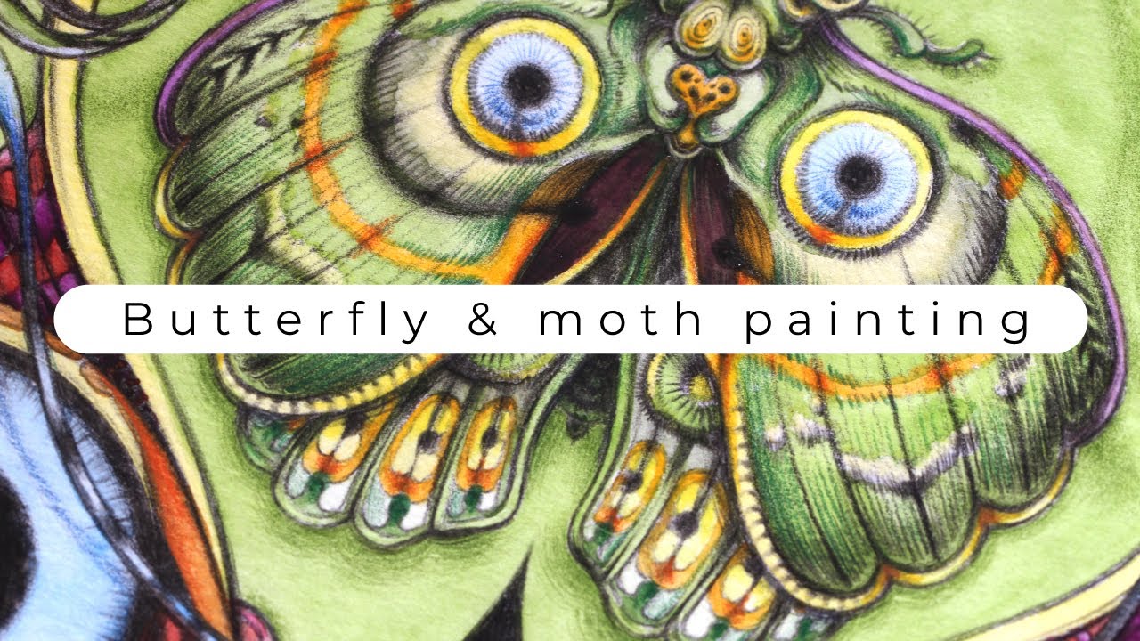 › Butterfly & Moth - painting with watercolors and color pencils, detailed - tropical series