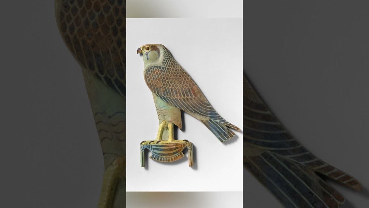 Bird Skins in Ancient Egypt | Behind the Scenes at the Beaty Biodiversity Museum - UBC