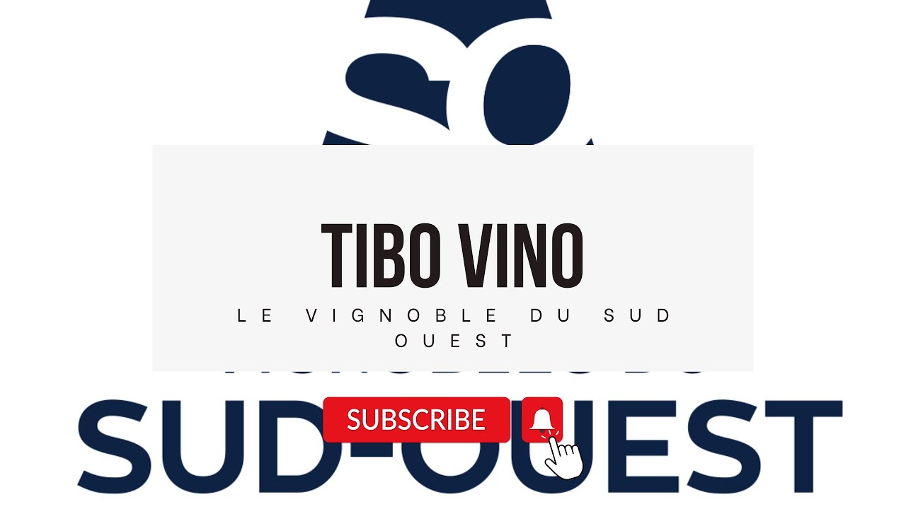 Le Vignoble du sud ouest