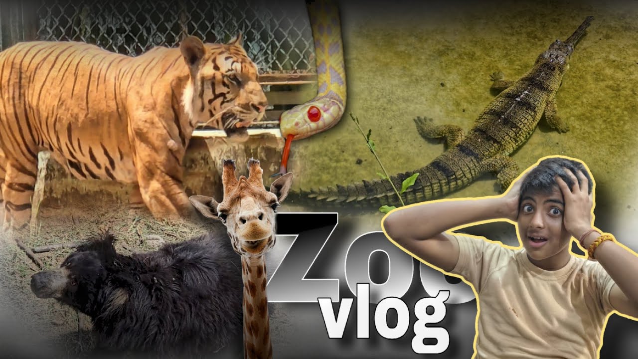 Jungle Safari Vlog || Krishna Tiwari Vlogs || 