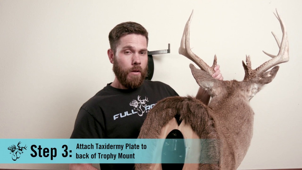 Instructional - Double Mount