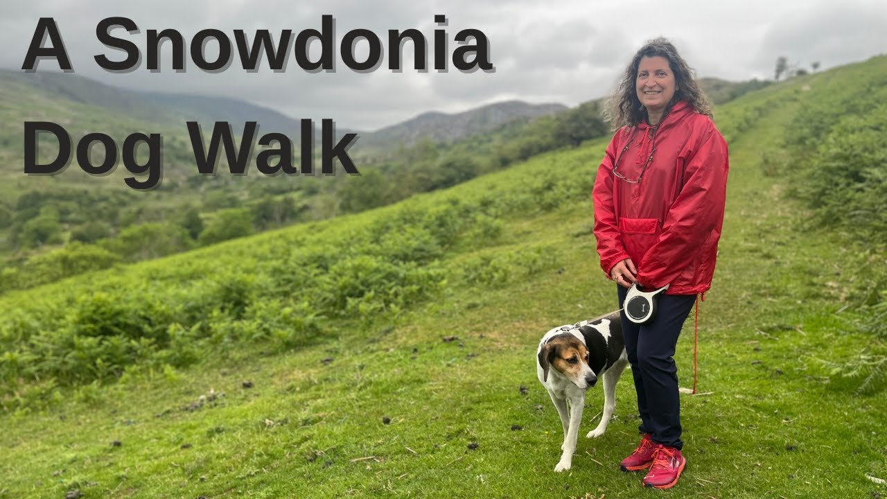 Snowdonia: The House Sitting Adventure You Didn't Know You Needed