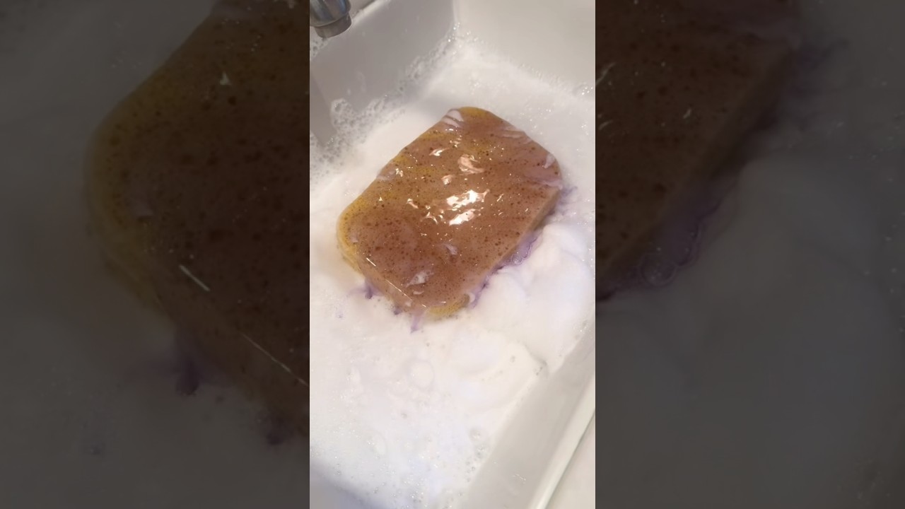 🫧SUDS OVERLOAD🫧 #asmr #cleantok #suds #sponge #spongeasmr #windex #ajax #fabuloso