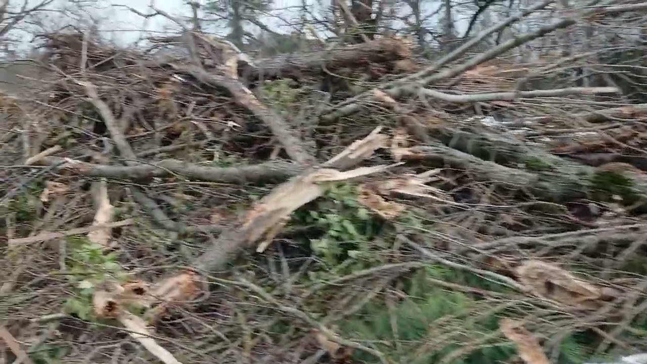 ecodemolizioni a pesaro
