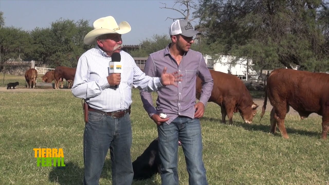 TIERRA FÉRTIL TV-CRIANZA Y CUIDADOS DE BORREGOS DORPER Y CHIVOS BOER (14.12.19)