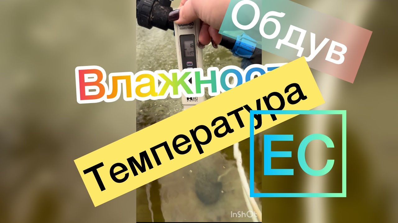 КОРОТКО О ВАЖНОМ: температура, ЕС, влажность, обдув. Выращивание тюльпанов к 8 марта 