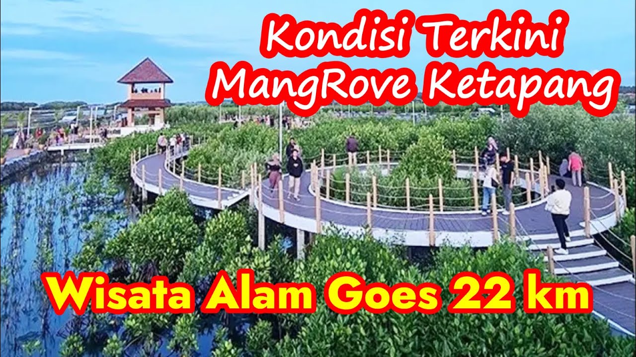 WISATA ALAM HUTAN MANGROVE KETAPANG // GOES 22 KM
