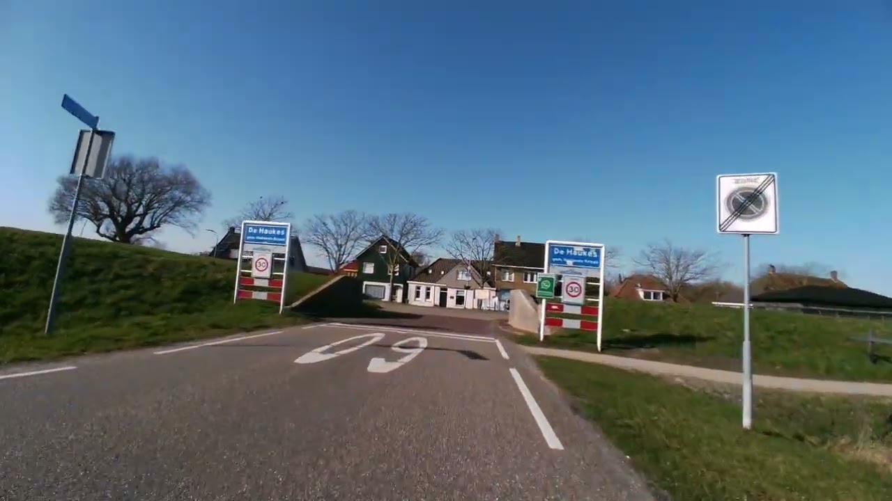 2026 03 03 de haukes