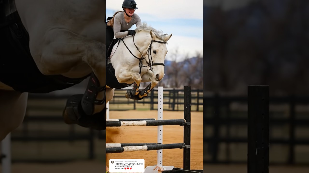 His overjump is so cute! Love Spring Fling!😍 #horse #equestrian #fyp #photography