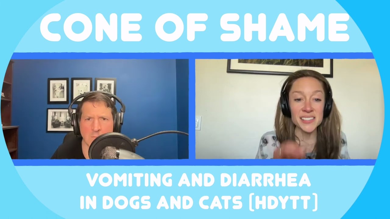 COS - 212 - Vomiting and Diarrhea in Dogs and Cats (HDYTT)