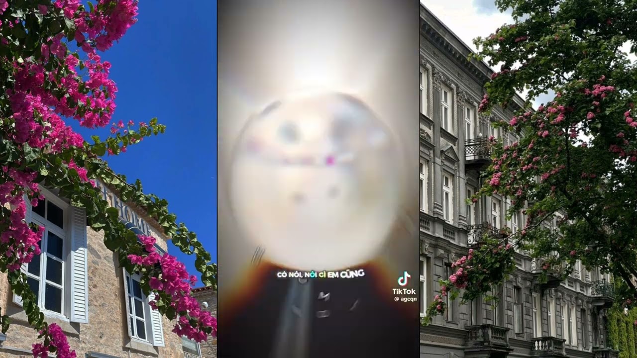 ( Tổng Hợp ) những mẫu hậu trường edit capcut hay nhất [#1] #xuhuong #tiktok #maucapcut