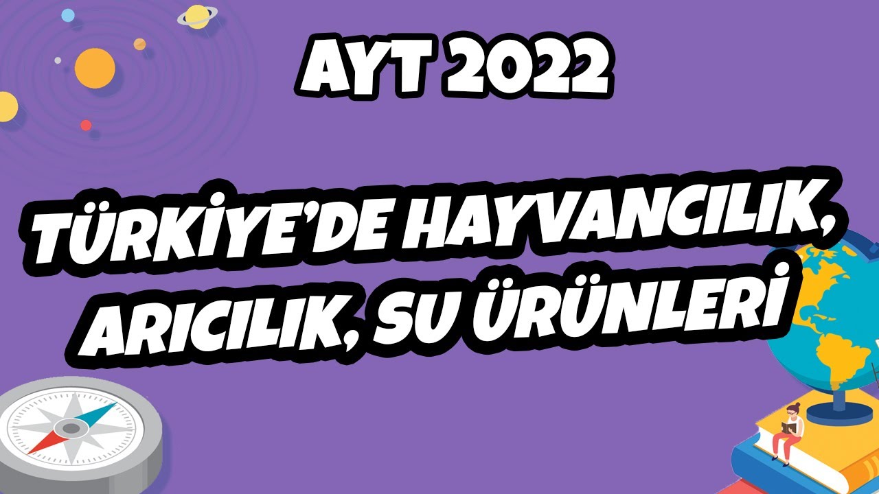 Türkiye’de Hayvancılık, Arıcılık, Su Ürünleri | AYT Coğrafya 2022 #hedefekoş