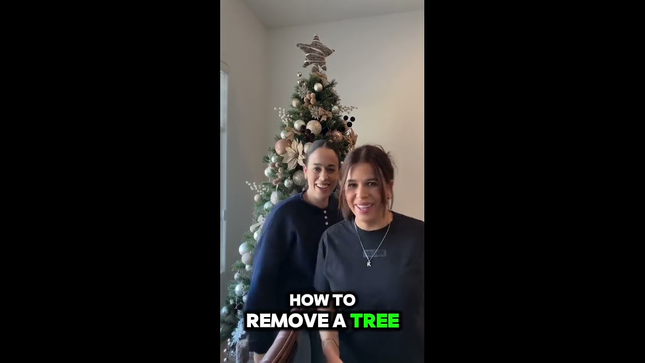 Quitando el árbol de Navidad 