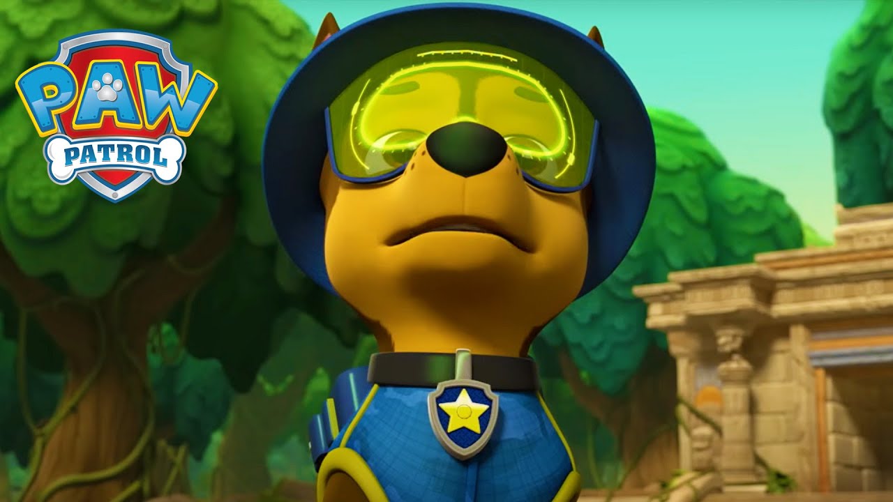 Filhotes ajudam pinguins! - Patrulha Canina PAW Patrol - Desenhos animados para crianças