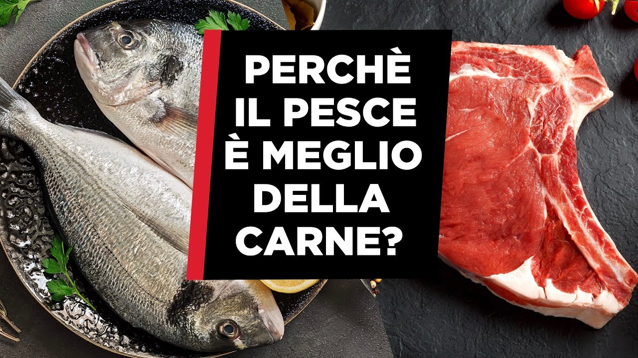 Perchè è meglio mangiare il pesce rispetto alla carne rossa?