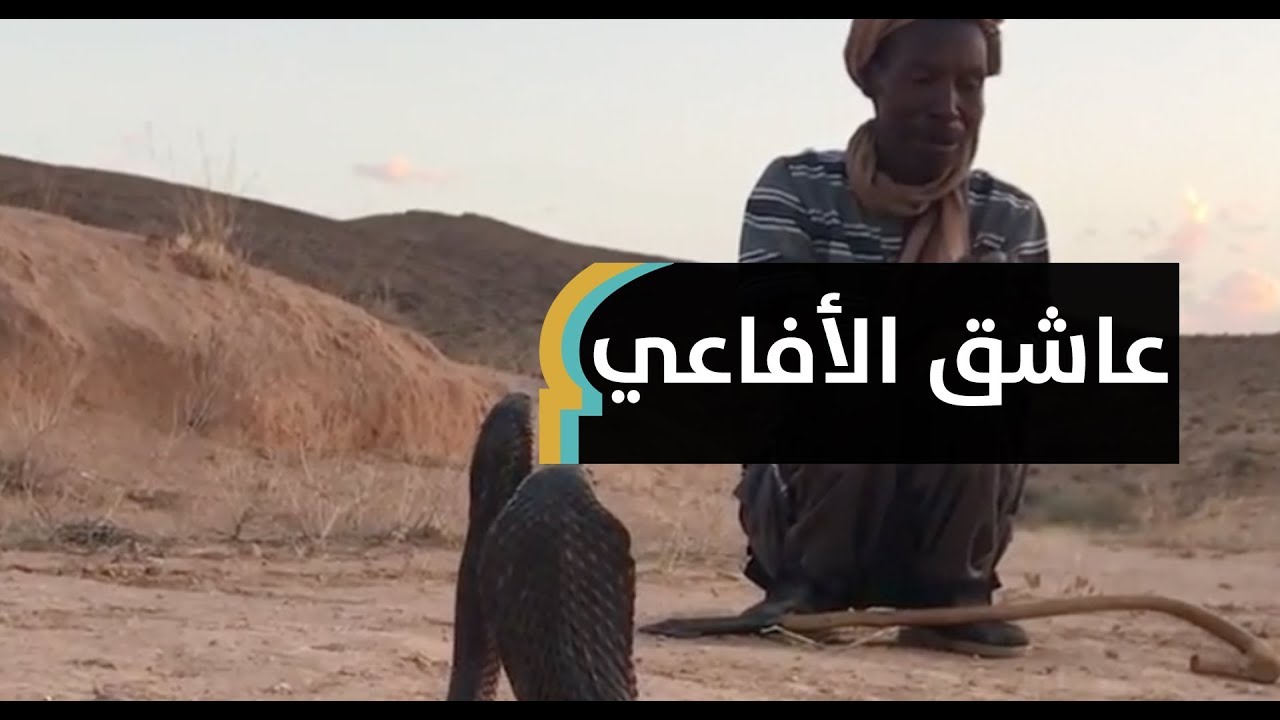 تونسي يقتات على الجردان والأفاعي.. مروض الثعابين: اعتزلت الناس لهذا السبب