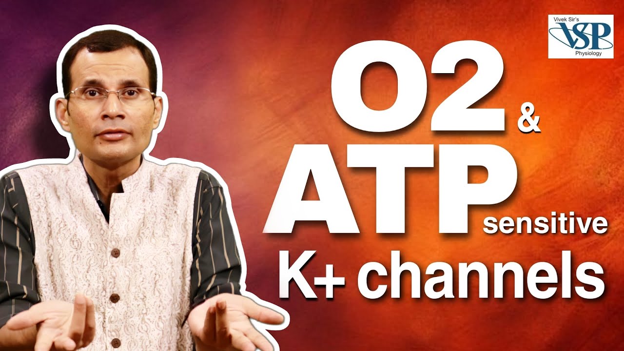 O2-sensitive and ATP-sensitive K+ channels. | MBBS | NEET PG | Dr Vivek Nalgirkar |