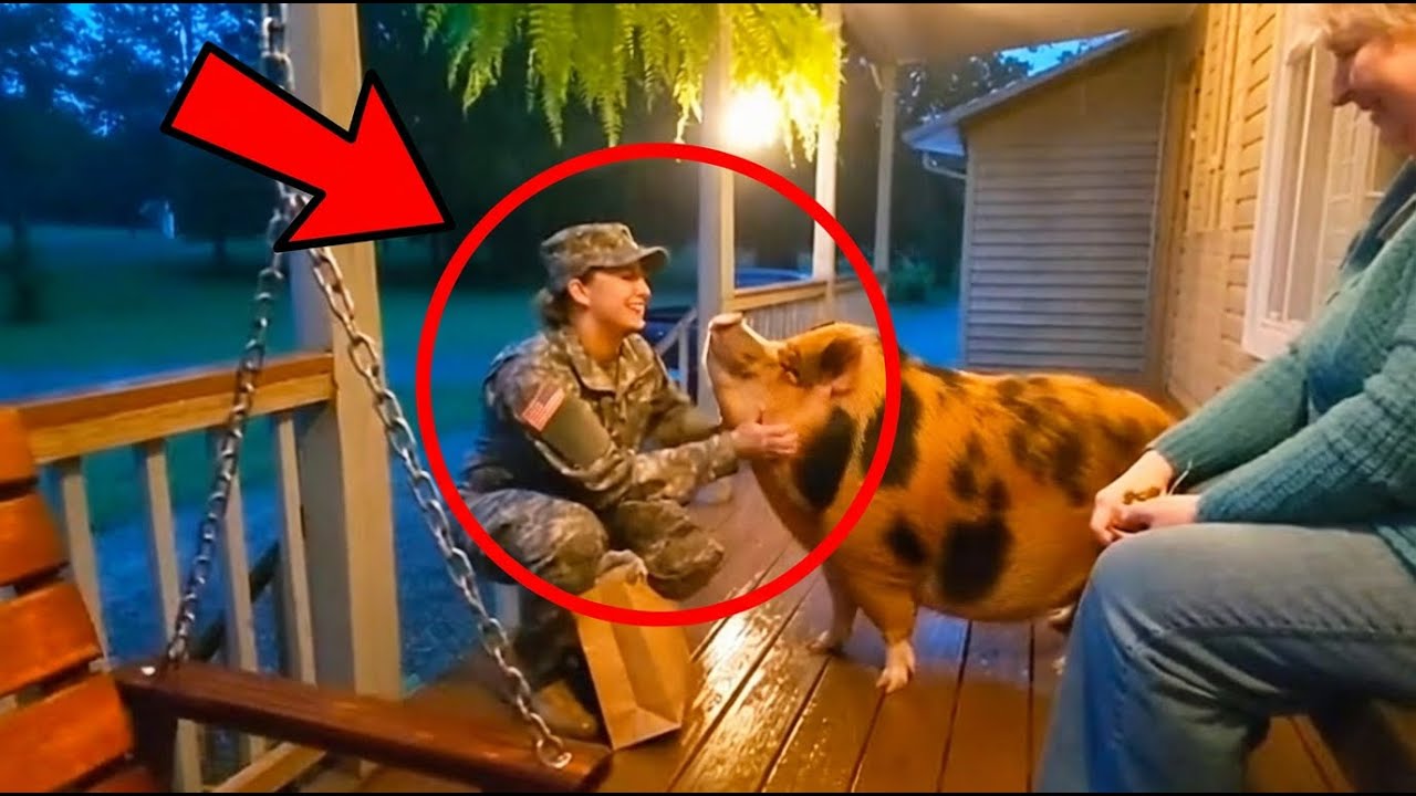 😭⚠️ WARNING: The Ultimate Emotional Endurance Test. 22 Soul-Melting Pet Reunions Back-to-Back!