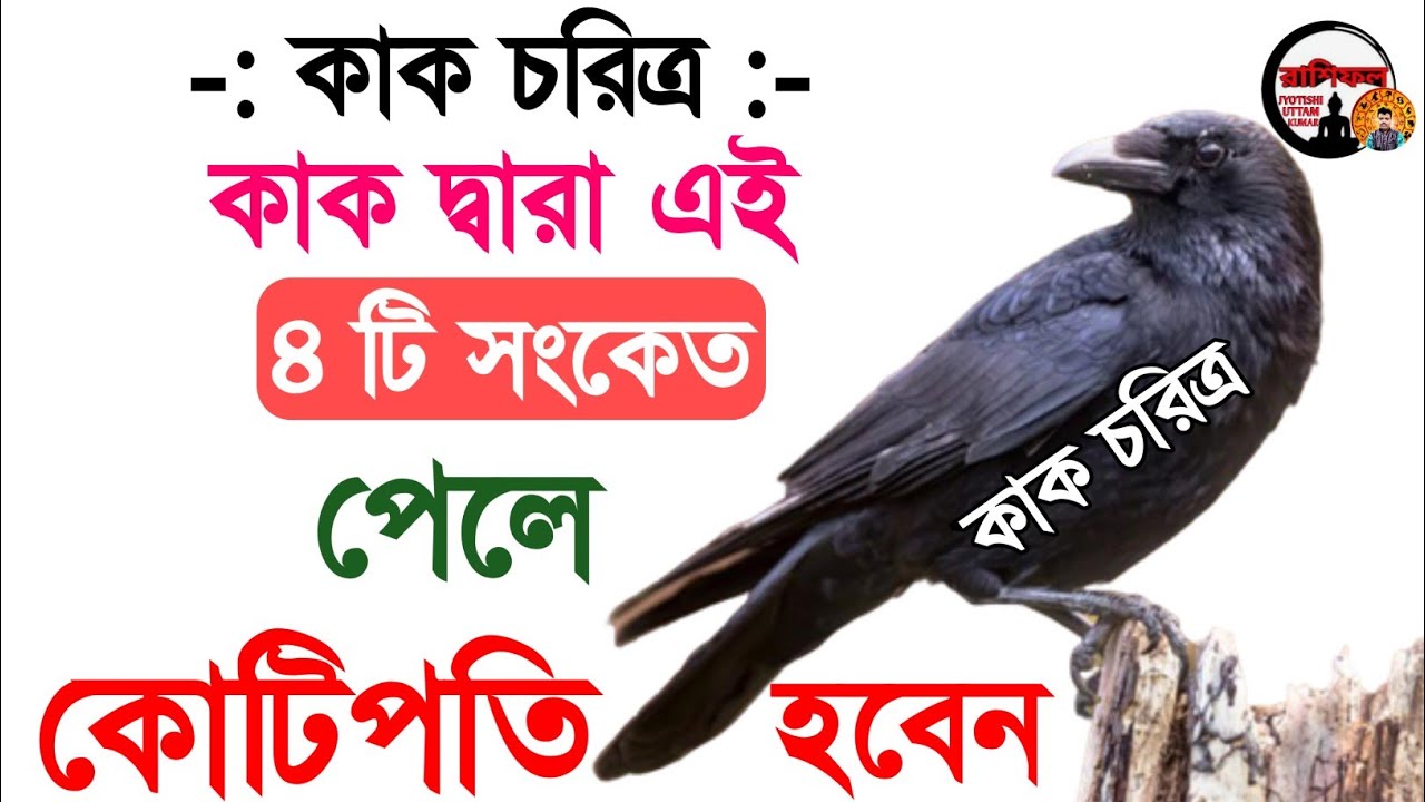 If you get this signal you will be rich | how to become a rich | share market trading