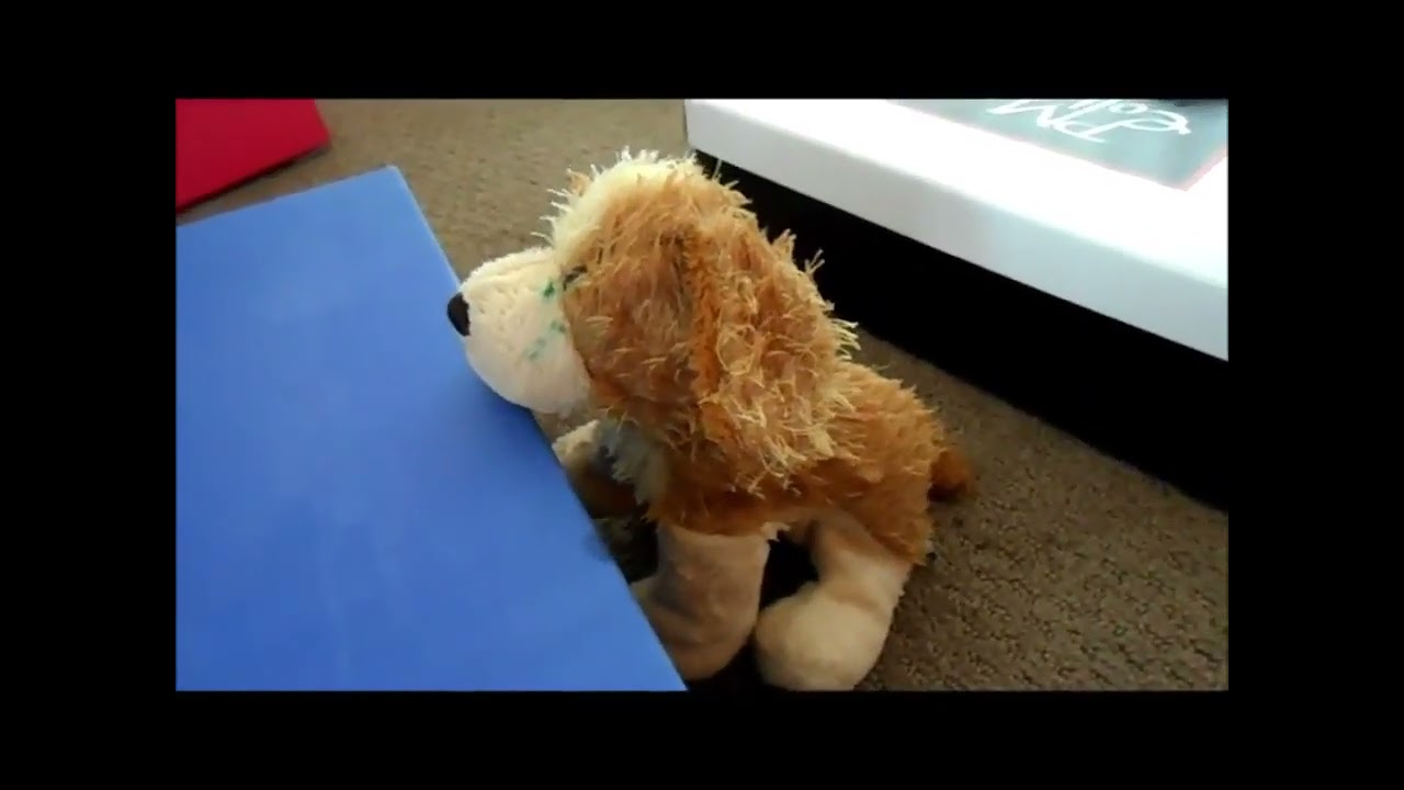 Webkinz School