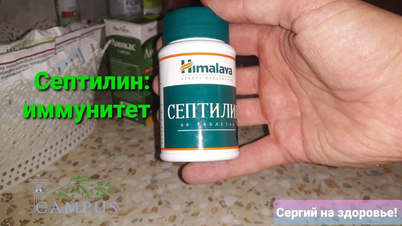 Септилин от Himalaya: иммунитет во всех его проявлениях (профилактика & лечение)