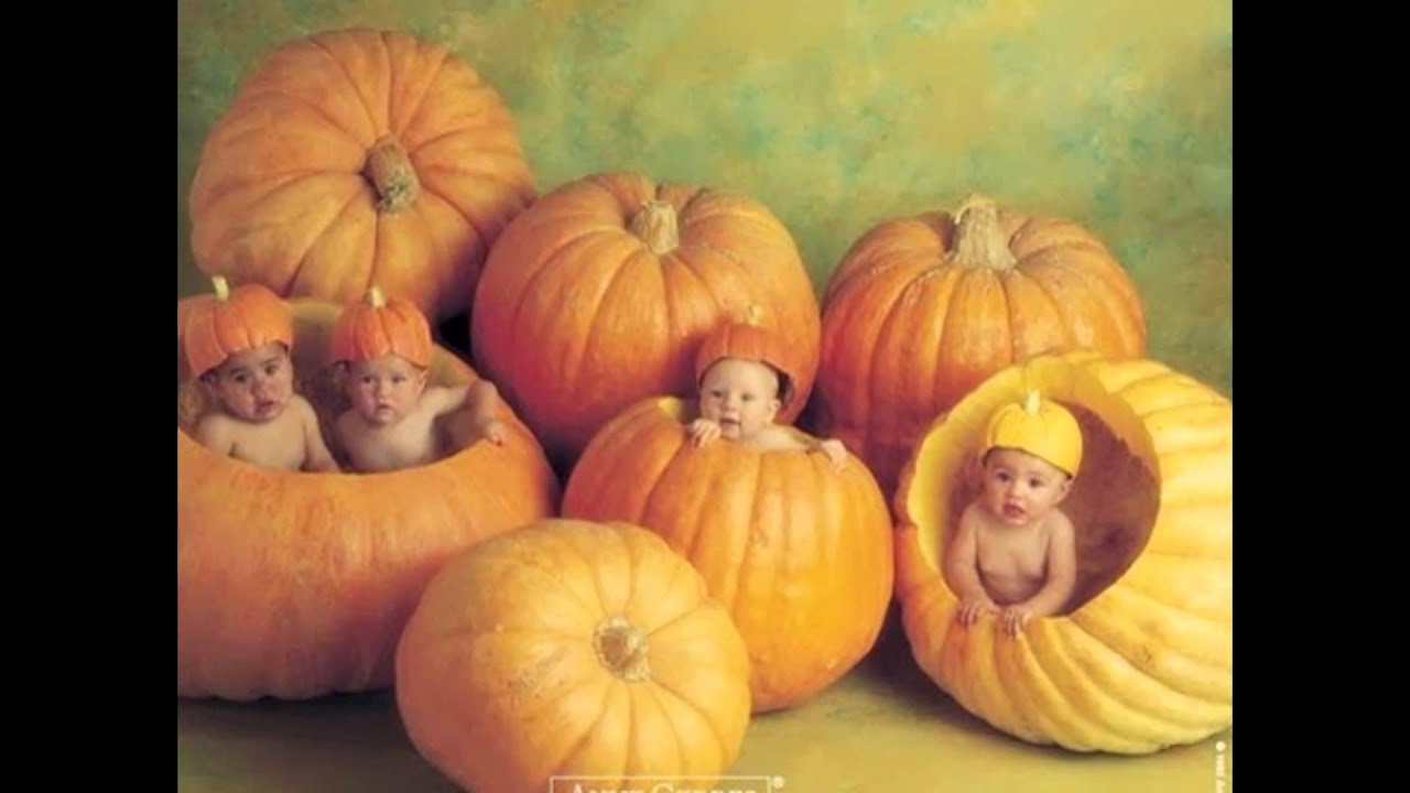 i bimbi di Anne Geddes