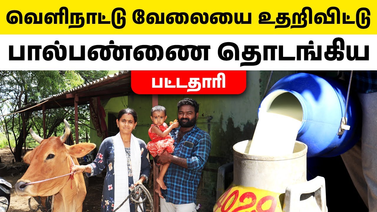 மதுரை பட்டதாரியின் மாட்டுப் பண்ணை | How to Start a Cow Farming in Tamil