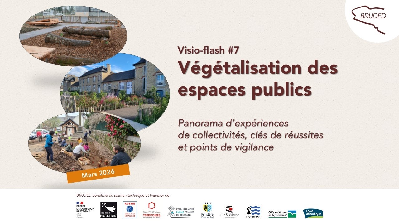 Visio-flash thématique : végétalisation des espaces publics