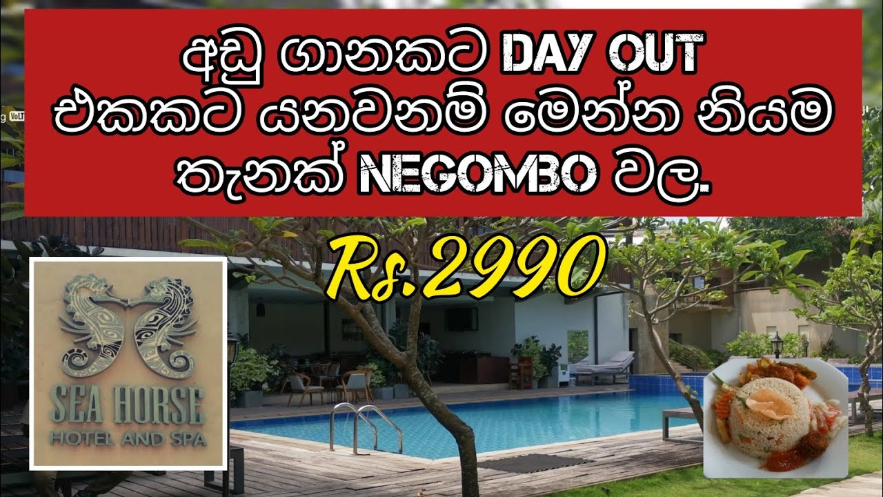 Budget Day Out.අඩු ගානකට Day Out එකකට යනවනම් මෙන්න නියමතැනක් Negombo වල.😎  @travelwithshafraz