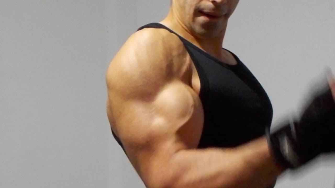 Biceps Workout