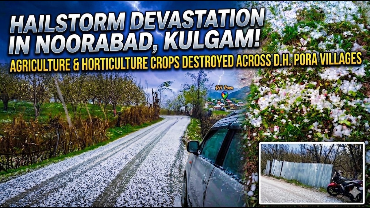 Nature&rsquo;s Fury in Kulgam | Massive Hailstorm Destroys Orchards & Crops in Noorabad | Farmers in Tears