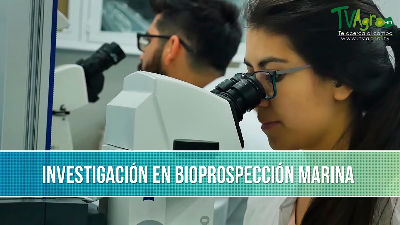 Investigacion en Bioprospeccion Marina - TvAgro por Juan Gonzalo Angel