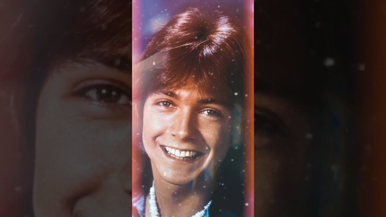 DAVID CASSIDY-LET HER GO (OLD TRICK-NEW DOG) DAVID’S ALBUMS