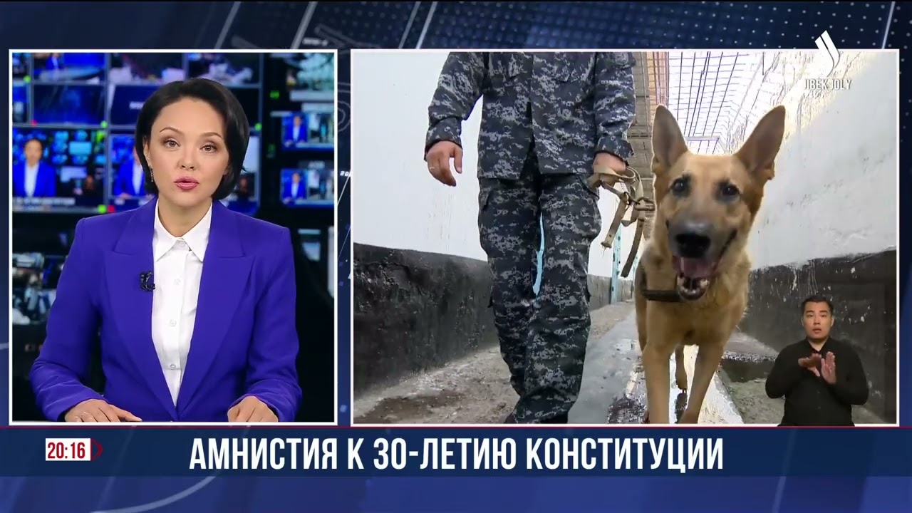 Кого может коснуться амнистия в Казахстане? | Jibek Joly news
